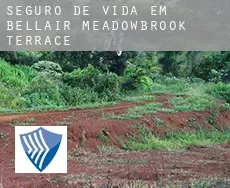Seguro de vida em Bellair-Meadowbrook Terrace