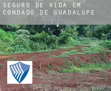 Seguro de vida em  Condado de Guadalupe
