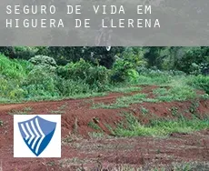 Seguro de vida em  Higuera de Llerena