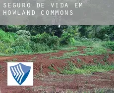 Seguro de vida em  Howland Commons