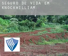 Seguro de vida em  Knockwilliam