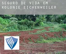 Seguro de vida em  Kolonie Eichenweiler