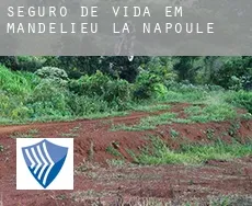 Seguro de vida em  Mandelieu-la-Napoule