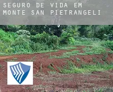 Seguro de vida em  Monte San Pietrangeli