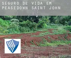 Seguro de vida em  Peasedown Saint John