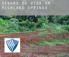 Seguro de vida em  Richland Springs