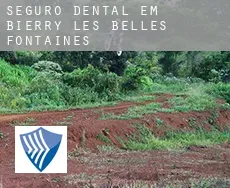 Seguro dental em  Bierry-les-Belles-Fontaines
