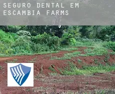 Seguro dental em  Escambia Farms