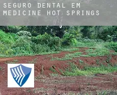 Seguro dental em  Medicine Hot Springs