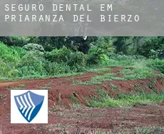 Seguro dental em  Priaranza del Bierzo