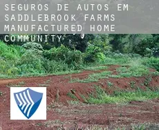 Seguros de autos em  Saddlebrook Farms Manufactured Home Community