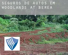 Seguros de autos em  Woodlands at Berea