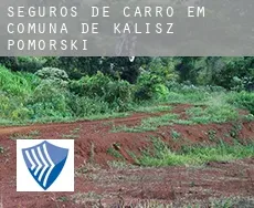 Seguros de carro em  Comuna de Kalisz Pomorski