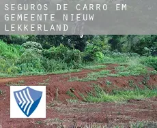 Seguros de carro em Gemeente Nieuw-Lekkerland