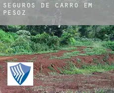 Seguros de carro em  Pesoz
