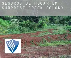 Seguros de hogar em  Surprise Creek Colony