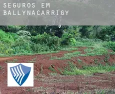 Seguros em  Ballynacarrigy
