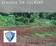 Seguros em  Culmore
