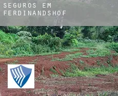 Seguros em Ferdinandshof