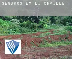 Seguros em  Litchville