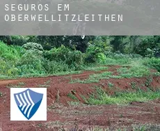 Seguros em  Oberwellitzleithen