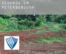 Seguros em  Peterborough