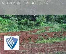 Seguros em  Willis