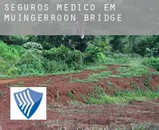 Seguros médico em  Muingerroon Bridge