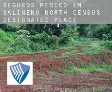 Seguros médico em Salineno North
