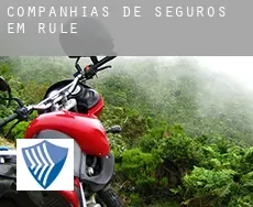 Companhias de seguros em  Rule