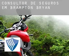 Consultor de seguros em  Brampton Bryan