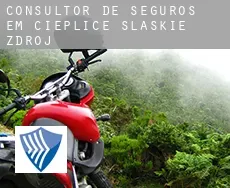 Consultor de seguros em  Cieplice Śląskie Zdrój