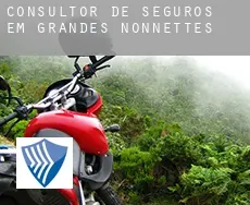 Consultor de seguros em  Grandes Nonnettes