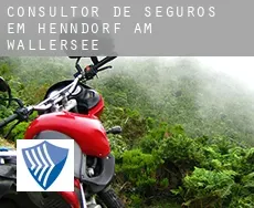 Consultor de seguros em  Henndorf am Wallersee