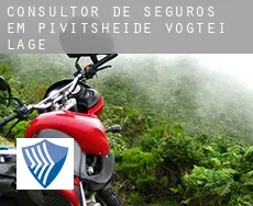 Consultor de seguros em  Pivitsheide Vogtei Lage