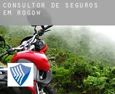 Consultor de seguros em  Rogów