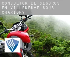 Consultor de seguros em Villeneuve-sous-Charigny