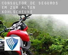 Consultor de seguros em  Zur alten Kohlscheune