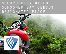 Seguro de vida em  Schooner Bay