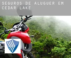 Seguros de aluguer em  Cedar Lake