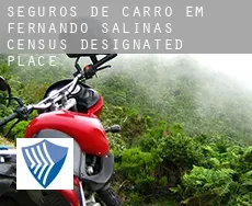 Seguros de carro em  Fernando Salinas