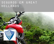 Seguros em Great Hollands