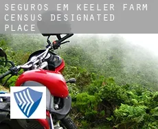 Seguros em  Keeler Farm