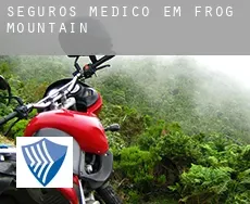 Seguros médico em  Frog Mountain
