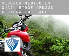 Seguros médico em  Quail Ridge