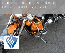 Consultor de seguros em  Kolonie Vitzke