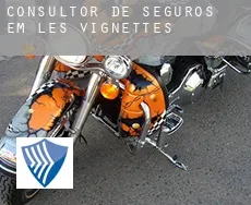 Consultor de seguros em  Les Vignettes