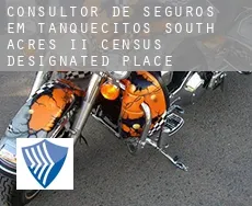 Consultor de seguros em  Tanquecitos South Acres II
