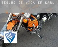 Seguro de vida em  Karl