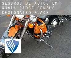 Seguros de autos em  Quail Ridge